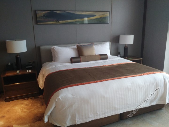 达美奥克伍德华庭公寓一居室 达美奥克伍德华庭公寓一居室